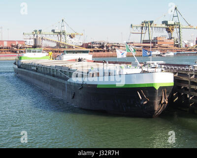 Rhein-Main (Schiff, 1983) ENI 05501580 Hafen von Rotterdam pic1 Stockfoto