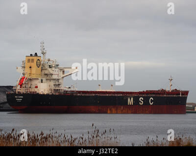 Die MSC Carina, ein Frachtschiff aus dem Jahr 2013, dockte im Amsterdamer Hafen an. Das Schiff wird während einer kommerziellen Schifffahrt im belebten Hafen gefangen genommen. Stockfoto