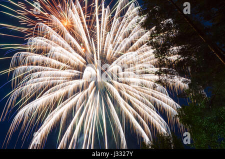 Hellen Feuerwerk gegen den tiefblauen Himmel und Bäume Stockfoto