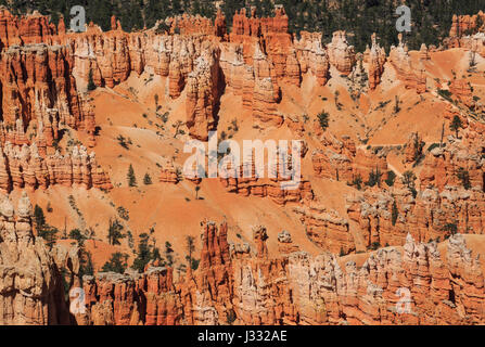 Hoodoos im Amphitheater am Bryce-Canyon-Nationalpark, utah Stockfoto
