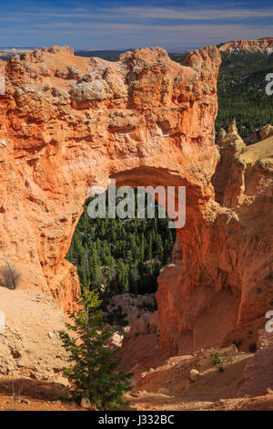 Naturbrücke im Bryce-Canyon-Nationalpark, utah Stockfoto