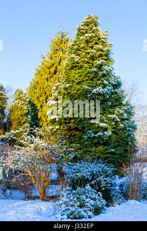 Winter Szene mit Bäumen und Schnee in einem Park auf einem hellen Tag, England, Großbritannien Stockfoto