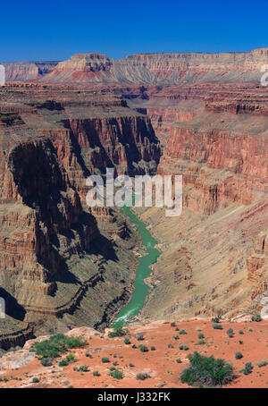 Colorado River im Bereich Fischschwanz Stromschnellen des Grand Canyon National Park, arizona Stockfoto