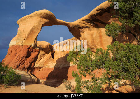 Metate Bogen im Devils Garden entlang Loch-in-the-Rock Road in der Nähe von Escalante, utah Stockfoto