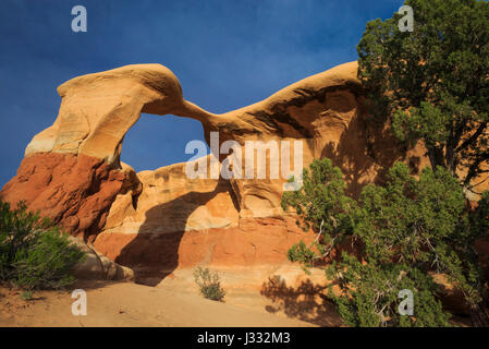 Metate Bogen im Devils Garden entlang Loch-in-the-Rock Road in der Nähe von Escalante, utah Stockfoto