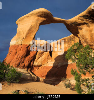 Metate Bogen im Devils Garden entlang Loch-in-the-Rock Road in der Nähe von Escalante, utah Stockfoto