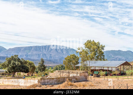 BONNIEVALE, Südafrika - 26. März 2017: Eine Bauernhof-Szene mit einem Schuppen bedeckt in Solar-Panels in der Nähe von Bonnievale in der Provinz Western Cape Stockfoto