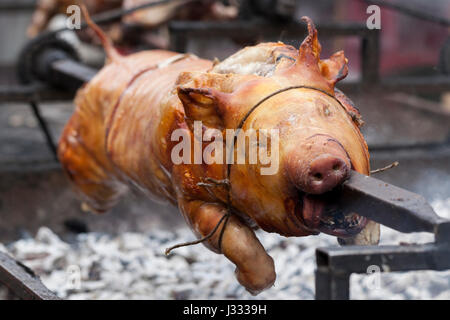 Traditionell Spanferkel auf einer sich drehenden Spieß mit Feuer und Rauch. Sehr leckeres Essen. Stockfoto