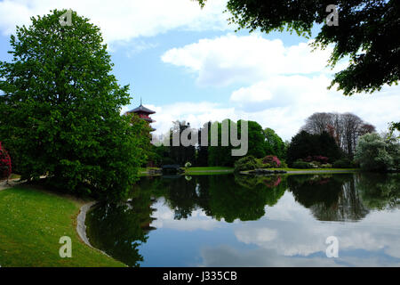 Japanischer Turm in den königlichen Gärten in Laeken Belgien Stockfoto