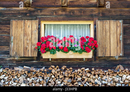 Geranien vor Fenster Berghütte, Schichtholz, Engalm, Vomp, Tirol, Österreich Stockfoto