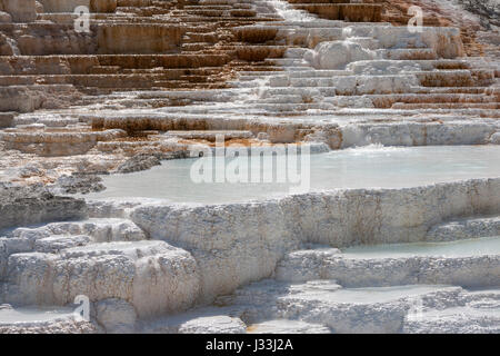 Travertin Terrassen, Thermalbad, Mineral Ablagerungen, Palette Frühling, unteren Terrassen, Mammoth Hot Springs Stockfoto