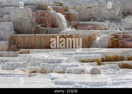 Sintern Sie, Terrassen, heißen Quellen, mineralische Ablagerungen, Palette Frühling, unteren Terrassen, Mammoth Hot Springs, Yellowstone-Nationalpark Stockfoto