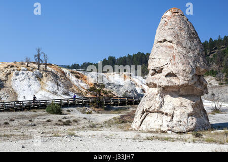 Liberty Cup, Palette Feder hinten, untere Terrassen, Mammoth Hot Springs, Yellowstone-Nationalpark, Wyoming, USA Stockfoto