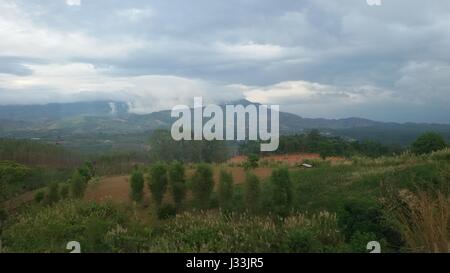 Schöne Landschaft in den Bergen majestätisch Waldblick nebligen Morgen. Nebel am Stausee im Nationalpark Khao Kho, Thailand verursacht. Stockfoto