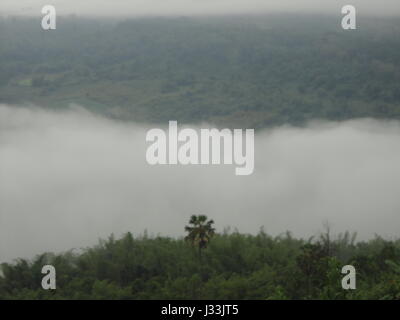 Schöne Landschaft in den Bergen majestätisch Waldblick nebligen Morgen. Nebel am Stausee im Nationalpark Khao Kho, Thailand verursacht. Stockfoto