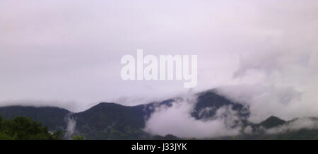 Schöne Landschaft in den Bergen majestätisch Waldblick nebligen Morgen. Nebel am Stausee im Nationalpark Khao Kho, Thailand verursacht. Stockfoto