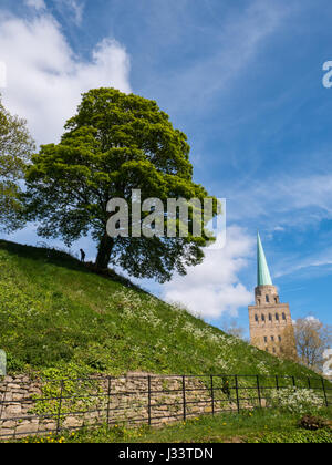 Burghügel, Oxford Castle, Oxford, Oxfordshire, England, UK, GB. Stockfoto