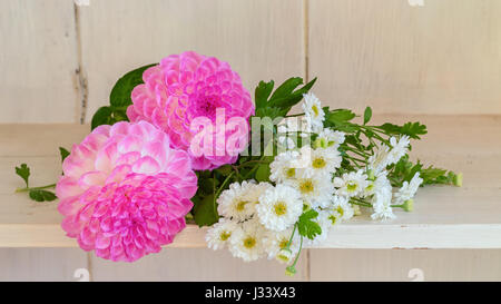 Hübsche rosa Dahlien und weißen Mutterkraut Verlegung auf einem Regal. Stockfoto