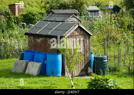 Hallen und Gewächshäuser auf Kleingärten in Settle, North Yorkshire. Das Sammeln von Regenwasser zur Gartenbewässerung. Stockfoto