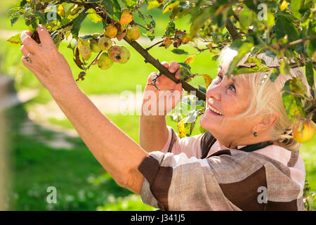 Lächelnde ältere Frau in der Nähe von Baum. Stockfoto