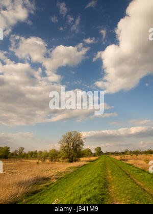 Eine Flut Bank entlang der Weichsel in der Nähe von Karczew Stockfoto