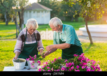 Menschen in Schürzen Blumen Umpflanzen. Stockfoto