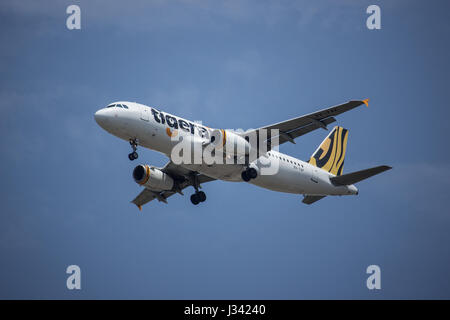 CHIANG MAI, THAILAND-29. April 2017: 9V-TAF Airbus A320-200 der Tiger Luft. Landung in Chiangmai Flughafen von Singapur. Stockfoto