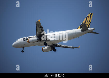 CHIANG MAI, THAILAND-29. April 2017: 9V-TAF Airbus A320-200 der Tiger Luft. Landung in Chiangmai Flughafen von Singapur. Stockfoto