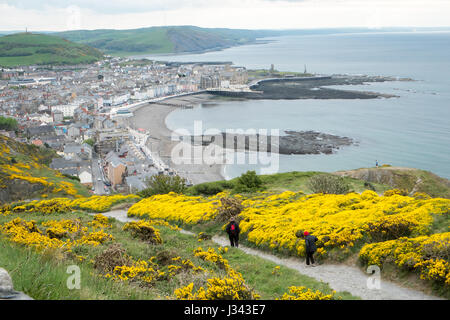 Ansicht von Verfassung, Hill, oben, Küstenstadt, von Aberystwyth, Cardigan Bay, im Mai, West Wales,Wales,U.K.,GB, Stockfoto