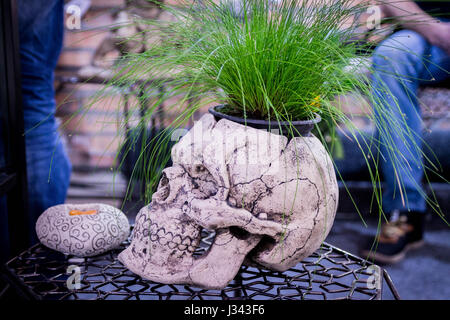 Flower Pot als einen menschlichen Schädel. Seitenansicht. Dekorativen Topf. Inneren Vase. Kreative Pot. Stockfoto