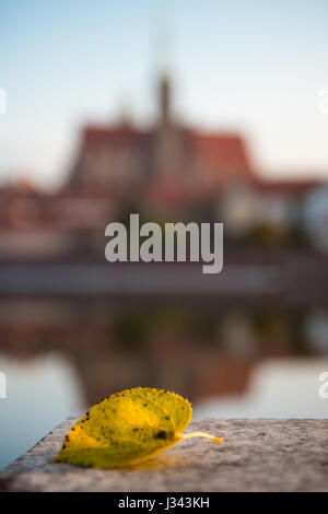 Wroclaw, Polen 22. Oktober 2016. Ein Herbst Blatt mit der Kirche des Heiligen Kreuzes (St. Bartholomäus) auf Ostrow Tumski (Dominsel) spiegelt sich in Stockfoto