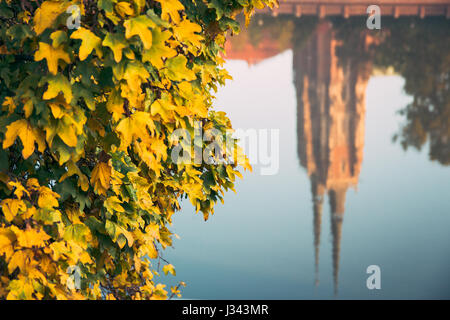 Wroclaw, Polen 22. Oktober 2016. Herbstlaub mit Breslauer Dom im Fluss Odra reflektiert wird. Stockfoto