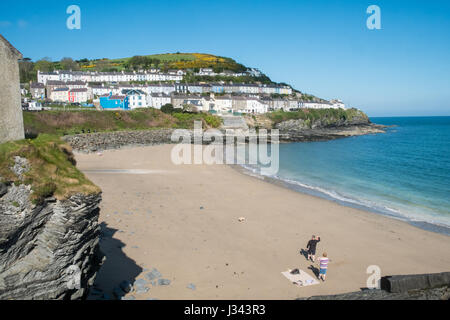 Hafen, Strand, Tourismus, Tourist, Angeln, Boot, Reisen, Delphine beobachten, shop, New Quay, Hafen, Cardigan Bay, Ceredigion, Küste, West Wales, Wales, UK Stockfoto