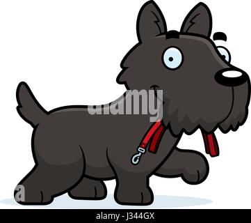 Ein Cartoon Illustration der Schotte zu Fuß mit der Leine in den Mund. Stock Vektor