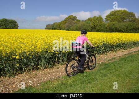 Mountainbiken auf Maultierweg durch Raps Feld Oakley Hampshire England Stockfoto