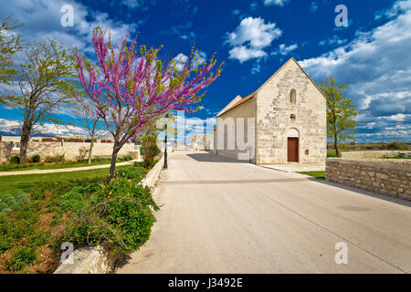 Stadt Nin Blick auf alte Stein Straße Frühling, Region Dalmatien in Kroatien Stockfoto