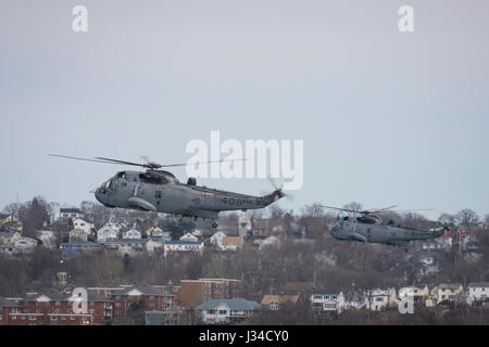 Zwei Sikorsky Sea King Hubschrauber fliegen in Formation. Stockfoto