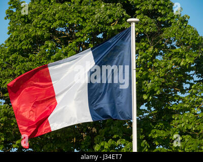 Französische Flagge im Wind schweben. Stockfoto