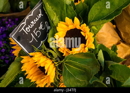 Gelbe Sonnenblumen zum Verkauf in Paris Blumenladen mit Etiketten in Euro Stockfoto