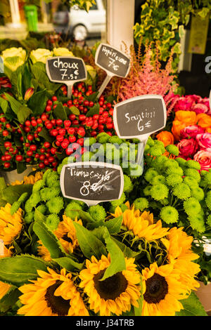 Gelbe Sonnenblumen zum Verkauf in Paris Blumenladen mit Etiketten in Euro Stockfoto