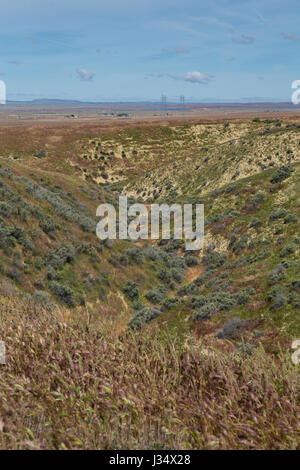 San-Andreas-Verwerfung in Wallace Creek in der Carrizo Plain California. Die Pazifische Platte ist auf der linken Seite und die nordamerikanische Platte auf der rechten Seite Stockfoto