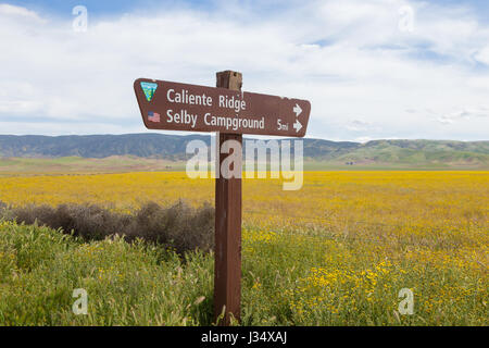 Melden Sie sich am Talboden der Carrizo Plain National Monument in Regie Besucher der Caliente Range und Selby Campingplatz Wildblumen bedeckt Stockfoto