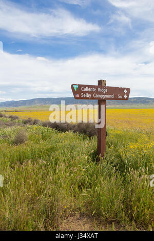 Melden Sie sich am Talboden der Carrizo Plain National Monument in Regie Besucher der Caliente Range und Selby Campingplatz Wildblumen bedeckt Stockfoto