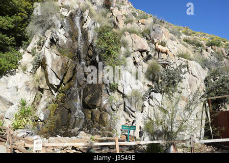 PALM SPRINGS, CA - 25. März 2017: Palm Springs Aerial Tramway Valley Station, Johnson fällt. Stockfoto