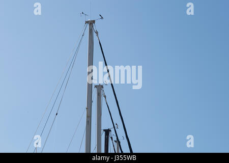 Die Masten der Segelboote geparkten machen Muster gegen den Himmel. Stockfoto