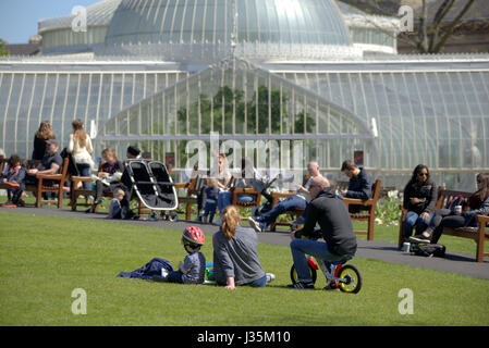 Botanic Gardens Glasgow Westend an einem sonnigen Sommertag Stockfoto