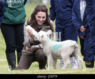 Arlingham. 3. Mai 2017. Großbritanniens Duchess of Cambridge Catherine speist ein Lamm bei einem Besuch auf einem Bauernhof von den Bauernhöfen für Stadtkinder Nächstenliebe in Arlingham, in der Nähe von Gloucester, Großbritannien am 3. Mai 2017 laufen. Bildnachweis: Xinhua/Alamy Live-Nachrichten Stockfoto