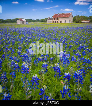 Marble Falls ist eine Stadt in Burnet County im US-Bundesstaat Texas. Lake Marble Falls ist Teil der Highland Seen auf dem Colorado River, die größte chai Stockfoto