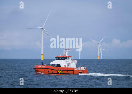 Eine Crew Transfer Schiff (CTV), Njord Säbelschnäbler, am Offshore-Windpark Walney Erweiterung Stockfoto