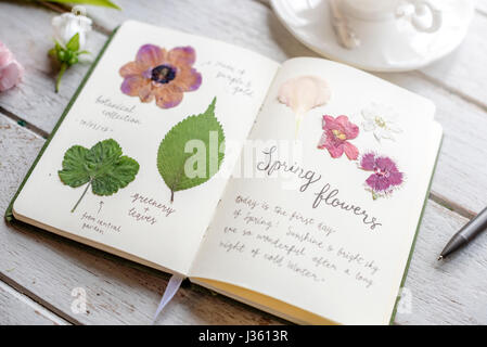 Detail der Trockenblumen Sammlung im Notebook Handarbeit Hobby Stockfoto